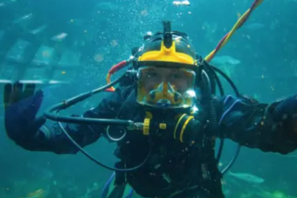A scuba diver in full gear is underwater, reaching out toward the camera with arms extended, surrounded by fish and aquatic life.