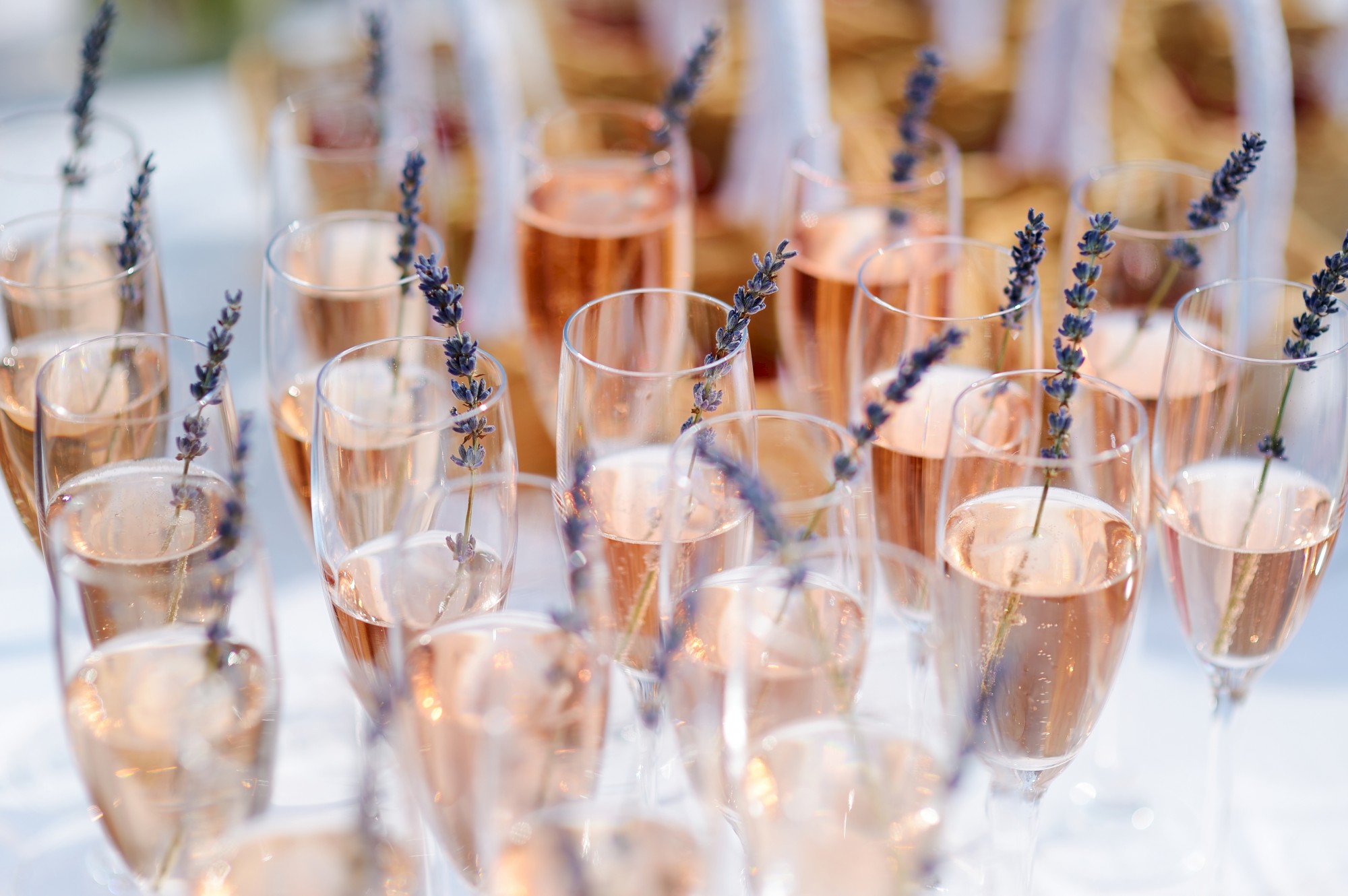 The image shows multiple champagne glasses filled with a pink liquid, each garnished with a sprig of lavender.