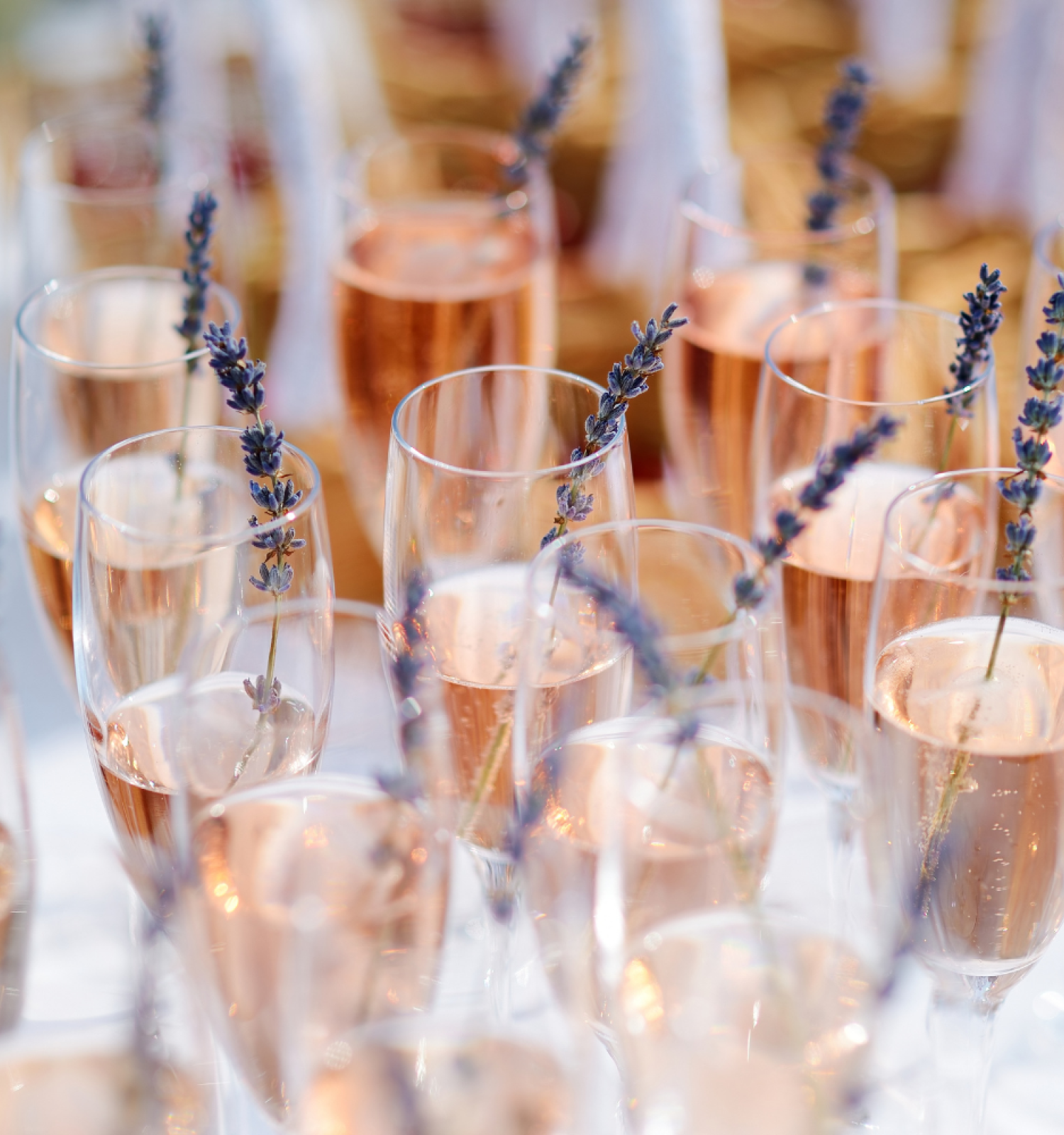 Several champagne glasses filled with a pink beverage, each garnished with a sprig of lavender, are arranged on a table.